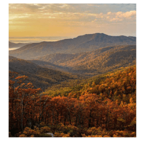 Appalachian trail 