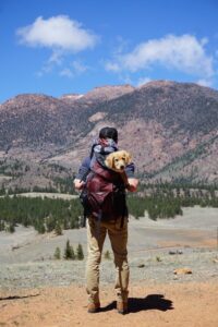 Guide to Dog-Friendly Hikes: Exploring Nature with Your Companion